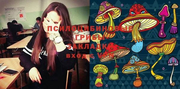 мдпв Протвино