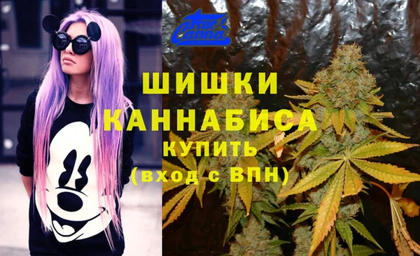 экстази Покачи